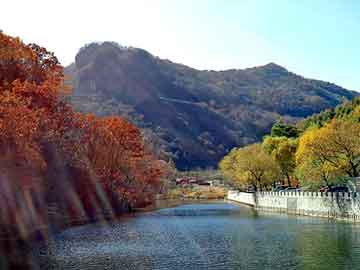 正版澳门天天开彩大全，平陆野猪